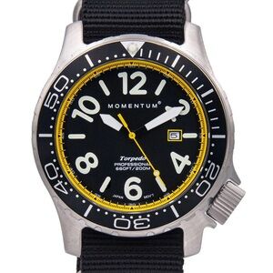 Professional Dive Watch